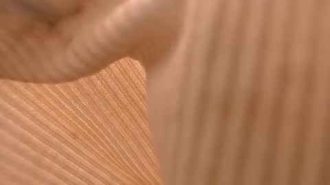 Snapshot of simple_lynx chatting on March 2025 06:32:01 AM L Y N online show from March 2025 06:32:01 AM