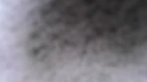 simpsznn online show from February 2026 11:30:01 AM