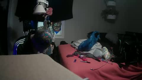 Snapshot of sirarchabalthe3rd chatting on March 2025 07:37:02 PM Danny skiff online show from March 2025 07:37:02 PM