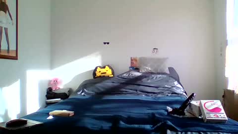 Snapshot of sisi727 chatting on February 2025 08:10:02 PM Mermaid of NYC online show from February 2025 08:10:02 PM