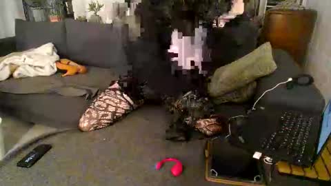 Snapshot of sissygirlalexandra chatting on November 2025 06:43:02 PM sissygirlalexandra online show from November 2025 06:43:02 PM