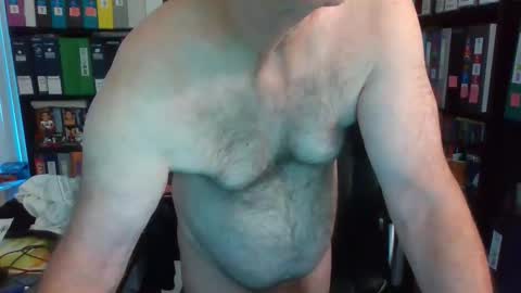 Stanitized online show from November 2025 01:37:02 PM