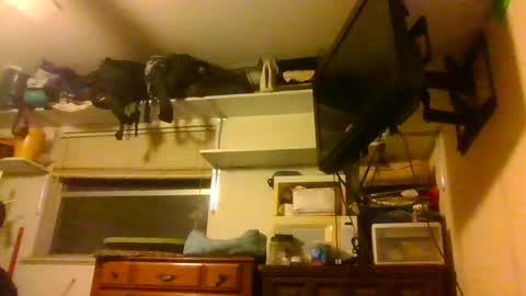 skewedviewblue online show from December 2025 03:37:02 AM