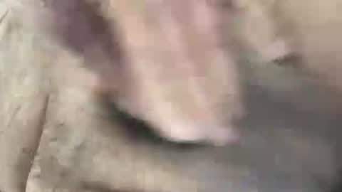 skima48 online show from February 2026 08:00:02 AM