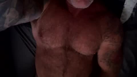 BEEF online show from July 2026 09:57:02 AM