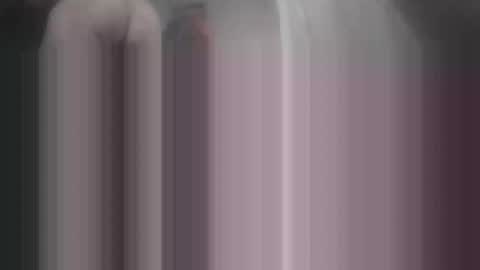 skimmer70z online show from December 2024 01:55:01 PM