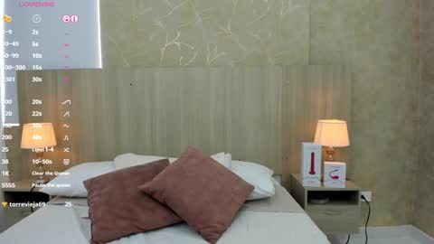 Snapshot of skinny_noa chatting on January 2025 02:29:02 PM Noa online show from January 2025 02:29:02 PM