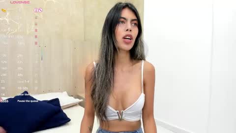 Snapshot of skinny_noa chatting on September 2025 11:33:02 AM Noa online show from September 2025 11:33:02 AM