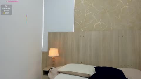 Snapshot of skinny_noa chatting on November 2025 11:29:01 AM Noa online show from November 2025 11:29:01 AM