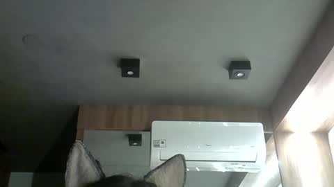 skinnykittencam online show from November 2025 12:13:02 AM