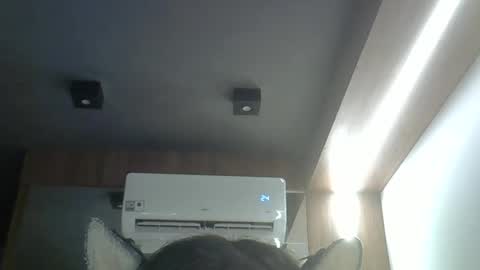 skinnykittencam online show from April 2026 12:38:01 PM