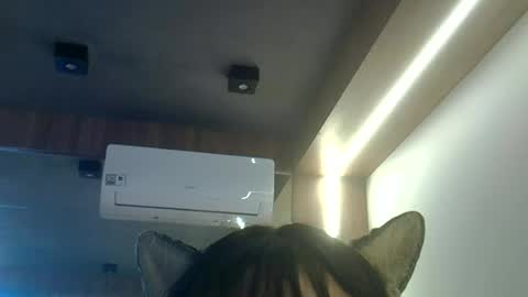 Snapshot of skinnykittencam chatting on June 2026 01:42:02 PM skinnykittencam online show from June 2026 01:42:02 PM