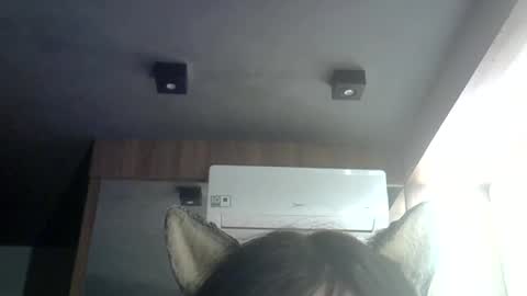 Snapshot of skinnykittencam chatting on June 2026 05:12:01 AM skinnykittencam online show from June 2026 05:12:01 AM