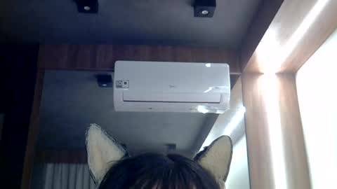 Snapshot of skinnykittencam chatting on June 2026 01:04:01 PM skinnykittencam online show from June 2026 01:04:01 PM