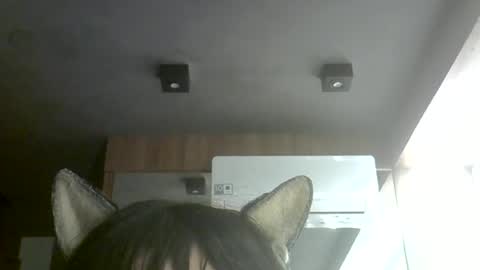 Snapshot of skinnykittencam chatting on July 2026 10:29:01 AM skinnykittencam online show from July 2026 10:29:01 AM