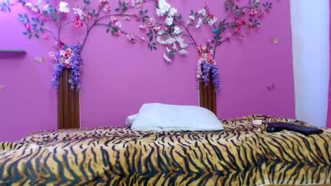 sofia online show from February 2026 01:31:02 PM