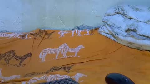 Snapshot of slim_girl3 chatting on November 2025 02:21:01 PM slim_girl3 online show from November 2025 02:21:01 PM