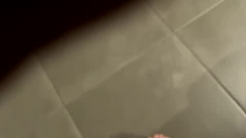 slimlord90 online show from January 2025 01:08:02 PM