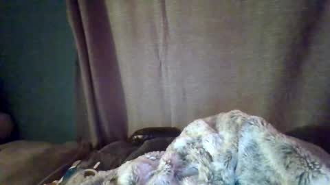 Snapshot of slittiekittie chatting on March 2026 07:32:02 AM slittiekittie online show from March 2026 07:32:02 AM