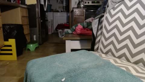 Slum Daddy online show from November 2025 11:25:01 AM