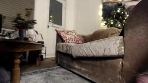 Snapshot of slutsuzy chatting on December 2024 10:33:02 PM Slut Suzy online show from December 2024 10:33:02 PM