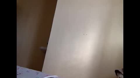 Skillibengisaadboy online show from June 2026 05:02:01 AM