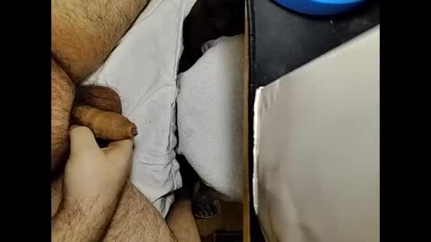 transmisin gratuita bajo demanda  free broadcast on demand online show from February 2025 01:00:02 AM