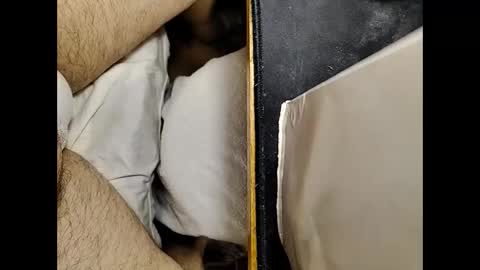 transmisin gratuita bajo demanda  free broadcast on demand online show from February 2025 01:30:02 AM