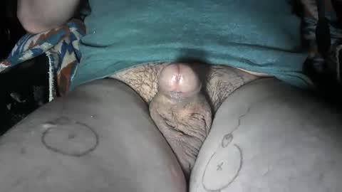 pussyfree4eva online show from January 2026 05:23:02 AM