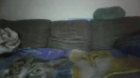 Snapshot of smaug6606 chatting on November 2025 06:46:02 AM smaug6606 online show from November 2025 06:46:02 AM