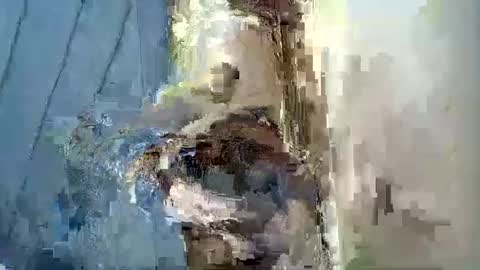 smiley_berry online show from September 2025 07:30:02 PM