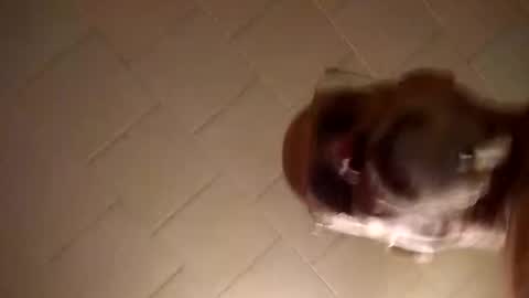 Snapshot of smithology chatting on December 2024 01:18:01 AM Smithology online show from December 2024 01:18:01 AM