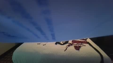 Snapshot of smokeingbitch420 chatting on October 2025 08:42:01 AM love bug online show from October 2025 08:42:01 AM