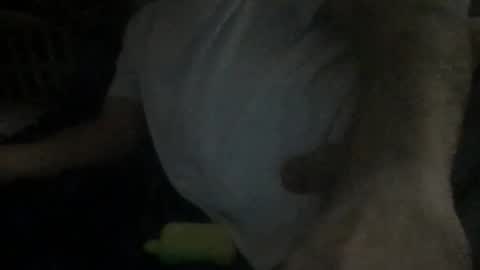 Snapshot of smokenfuk23 chatting on November 2025 01:53:01 AM smokenfuk23 online show from November 2025 01:53:01 AM