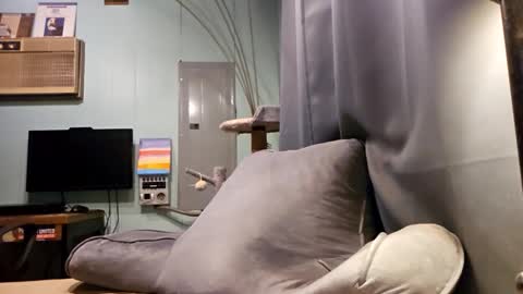 Snapshot of snackyyyy chatting on February 2026 01:10:02 AM Snackyyyy online show from February 2026 01:10:02 AM