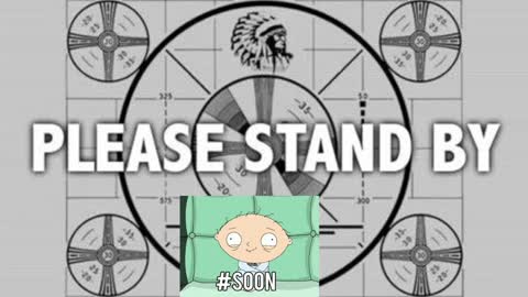 kitten online show from January 2025 08:18:01 PM