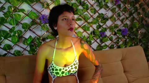 snner_velvet online show from May 2026 08:47:02 PM