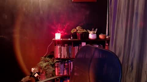 Arwen online show from January 2026 11:09:01 PM