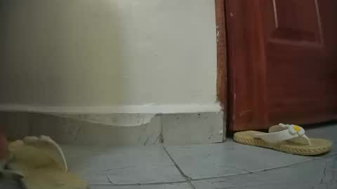 Snapshot of snowbell91 chatting on January 2025 08:29:02 AM snowbell91 online show from January 2025 08:29:02 AM