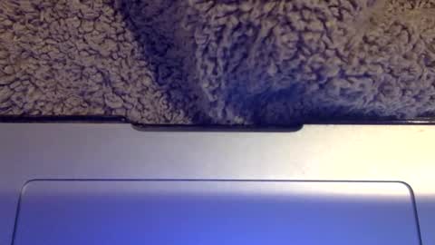 Snapshot of snowpapi79260 chatting on January 2025 08:52:01 AM snowpapi79260 online show from January 2025 08:52:01 AM