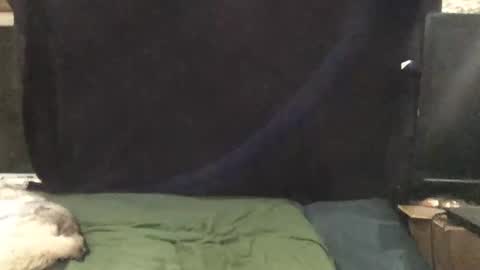 Snapshot of snowsurfer2 chatting on November 2025 01:51:02 AM Riley Ray online show from November 2025 01:51:02 AM