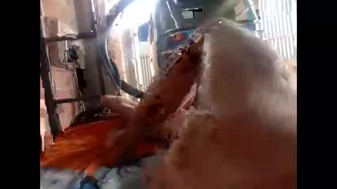 Snapshot of snqhephncxpu chatting on February 2026 01:18:01 PM snqhephncxpu online show from February 2026 01:18:01 PM