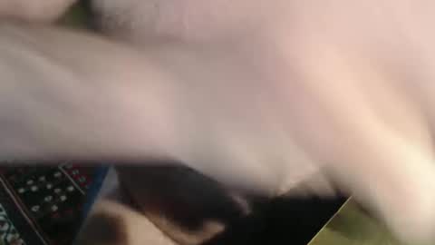 snudge432 online show from January 2025 04:22:01 PM