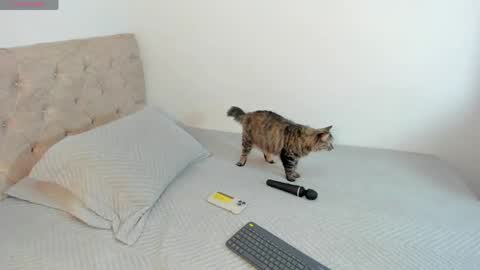 sofi_martinezz1 online show from April 2026 05:52:01 AM