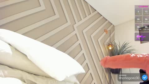 Snapshot of sofia_goez_ chatting on January 2025 10:48:01 AM Sofia online show from January 2025 10:48:01 AM