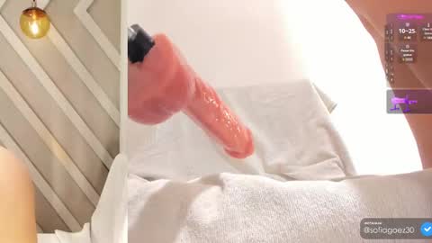 Snapshot of sofia_goez_ chatting on February 2025 11:06:02 AM Sofia online show from February 2025 11:06:02 AM