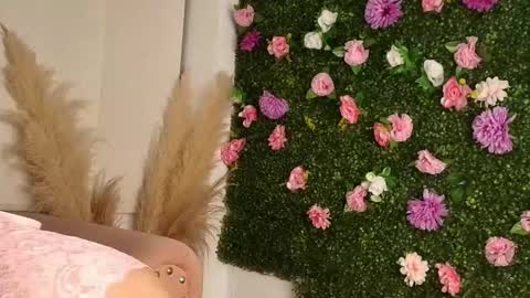 Snapshot of sofia_laverde chatting on January 2026 06:55:02 PM Sofi online show from January 2026 06:55:02 PM