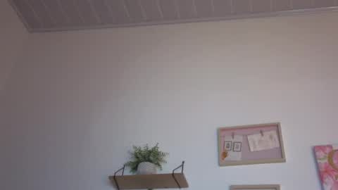     online show from November 2025 03:48:01 AM