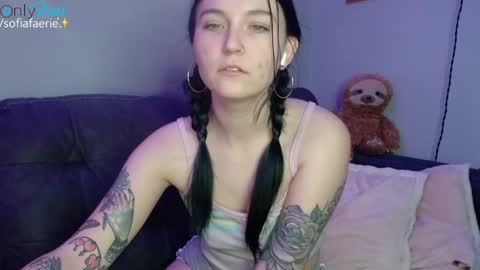 Snapshot of sofiafaerie chatting on December 2024 10:56:01 PM sofiafaerie online show from December 2024 10:56:01 PM