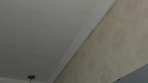 Sofi - next broadcast today 1030pm Colombia time online show from February 2025 04:47:01 AM